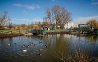 Senecura dom za starije