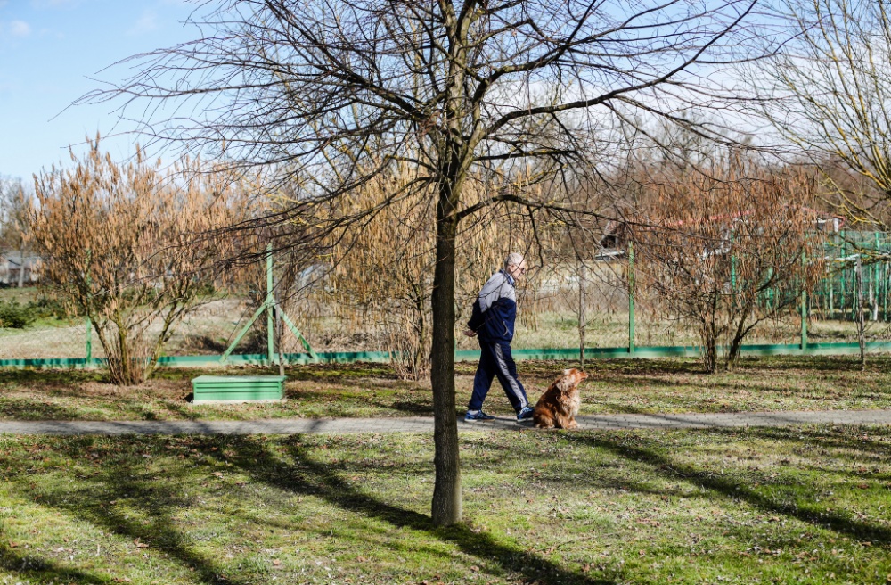 Senecura dom za starije