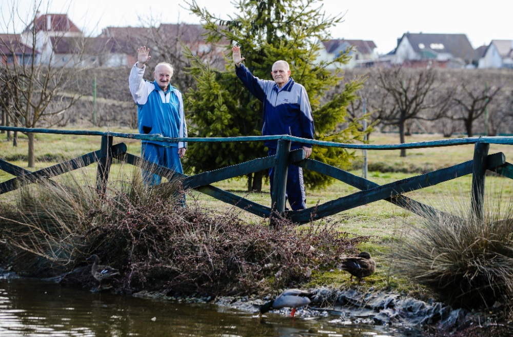 Senecura dom za starije