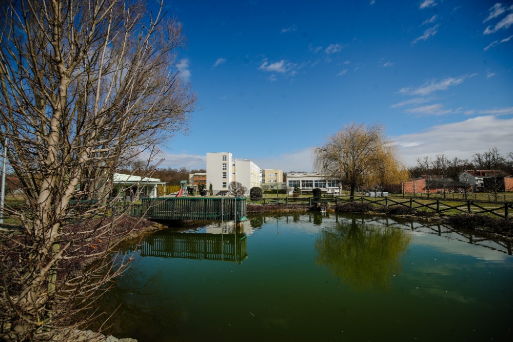 Senecura dom za starije