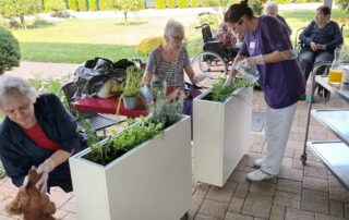 Senecura dom za starije