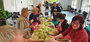 Senecura dom za starije