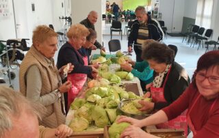 Senecura dom za starije