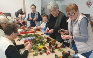 Senecura dom za starije