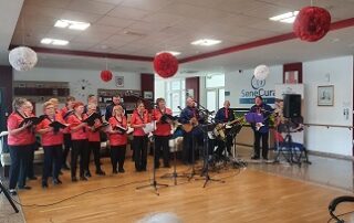 Senecura dom za starije