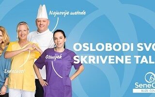 Senecura dom za starije