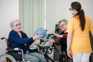 Senecura dom za starije