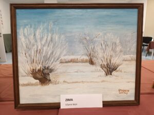 Senecura dom za starije