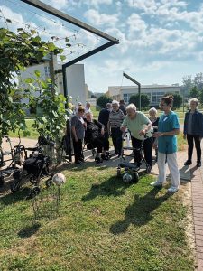 Senecura dom za starije