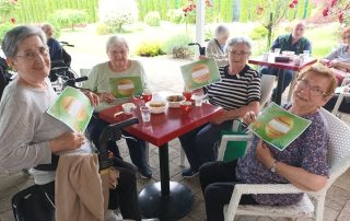 Senecura dom za starije