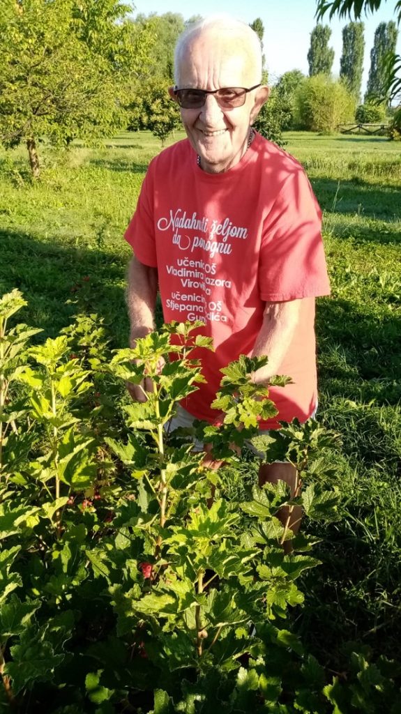 Senecura dom za starije