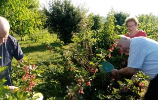 Senecura dom za starije