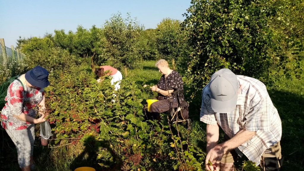 Senecura dom za starije