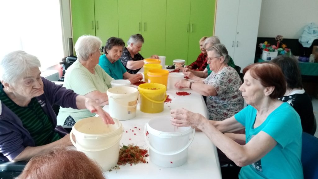 Senecura dom za starije