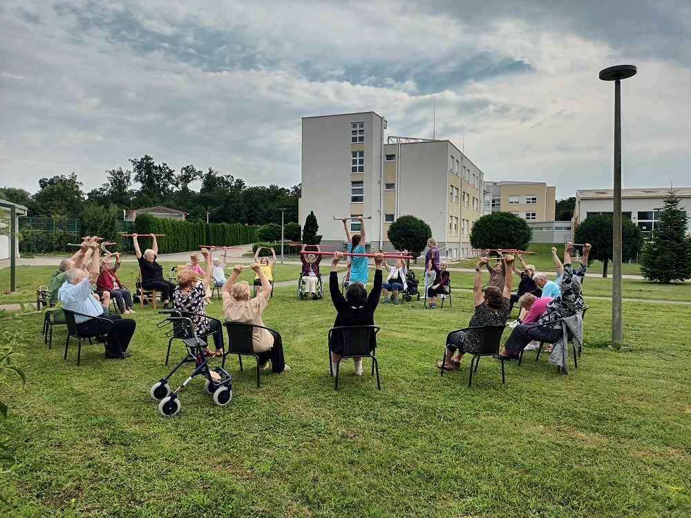 Senecura dom za starije