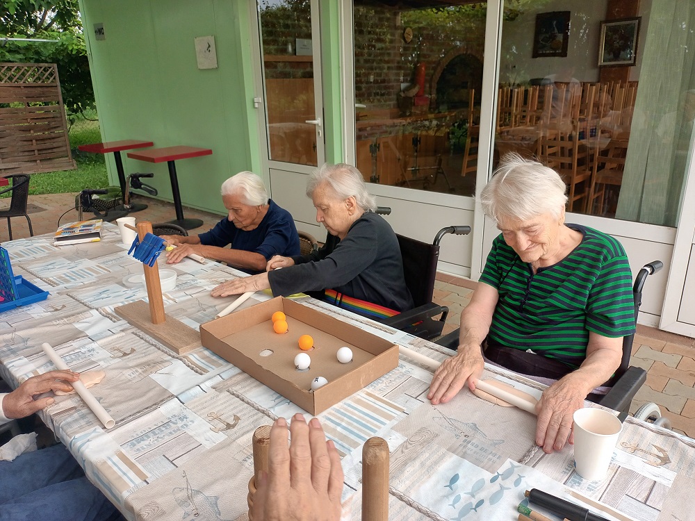 Senecura dom za starije