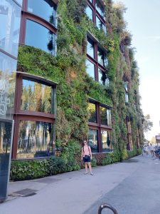 Senecura dom za starije