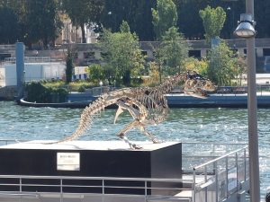 Senecura dom za starije