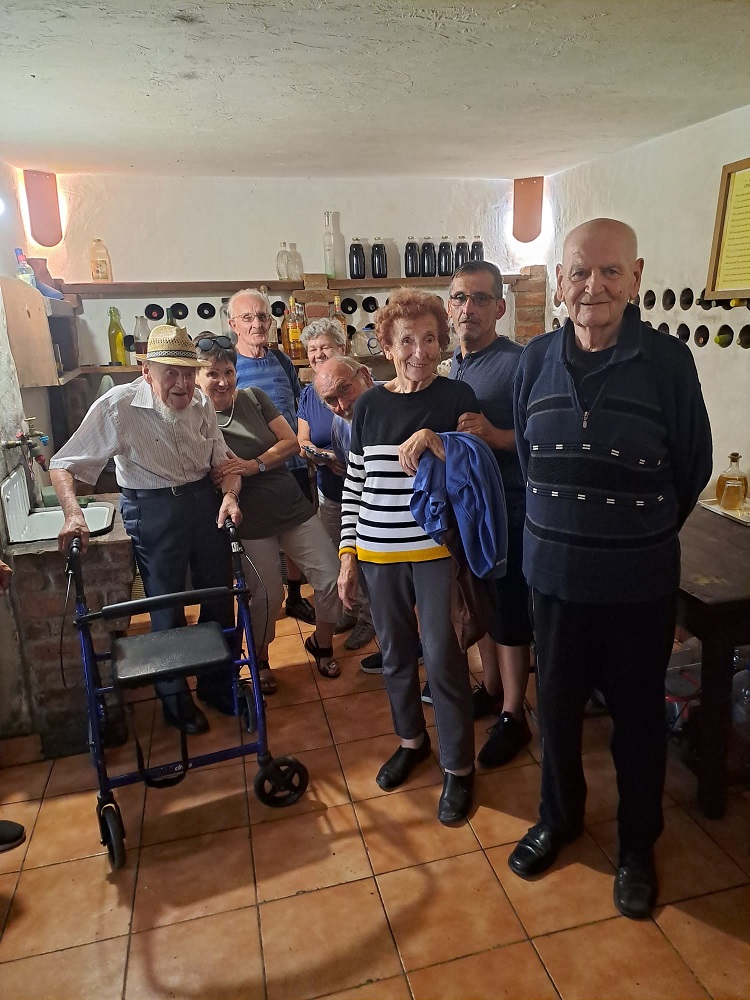 Senecura dom za starije