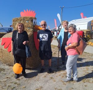 Senecura dom za starije