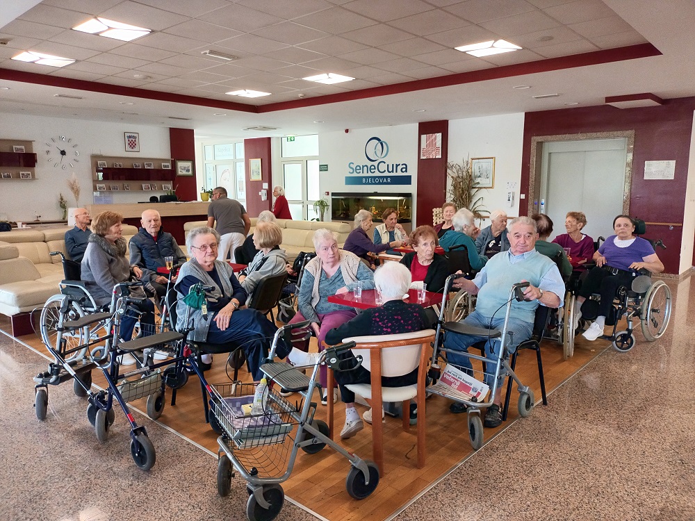 Senecura dom za starije