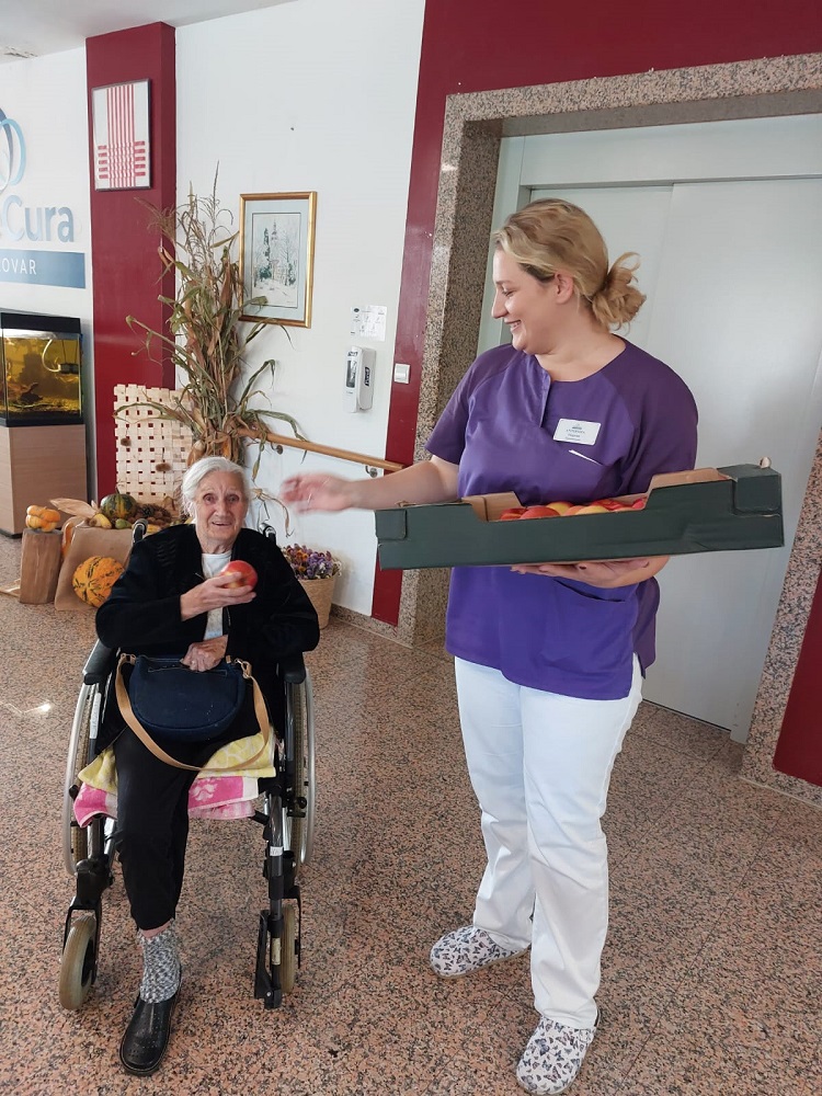 Senecura dom za starije