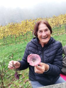 Senecura dom za starije