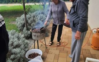 Senecura dom za starije