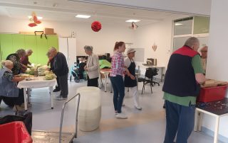 Senecura dom za starije