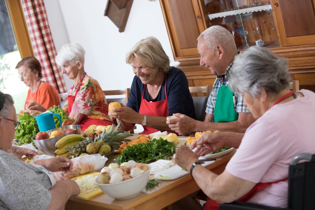 Senecura dom za starije