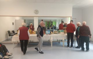 Senecura dom za starije