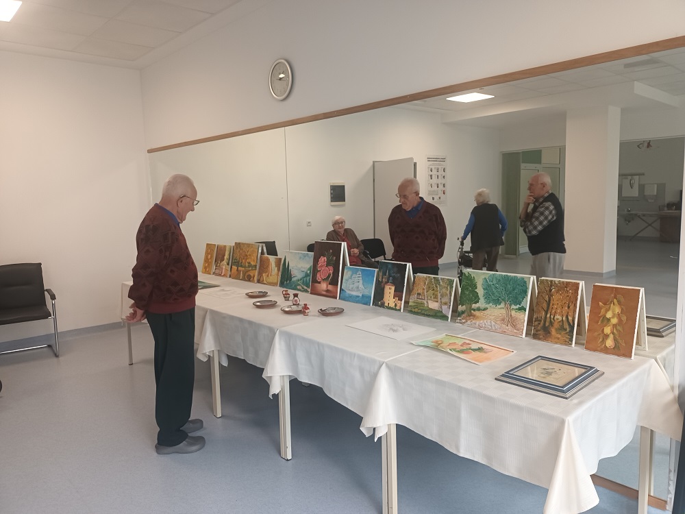 Senecura dom za starije