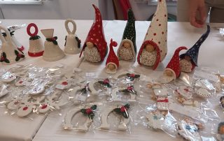 Senecura dom za starije