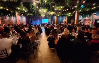 Senecura dom za starije