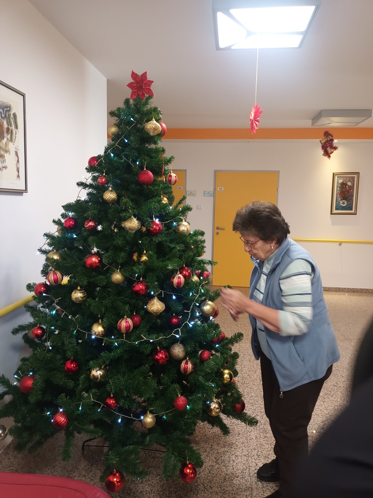 Senecura dom za starije