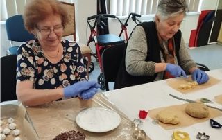 Senecura dom za starije