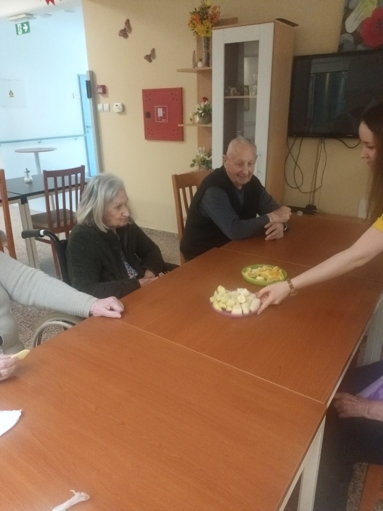 Senecura dom za starije