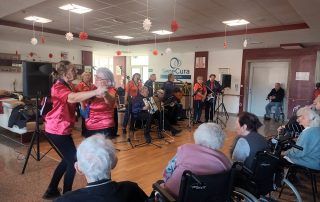 Senecura dom za starije