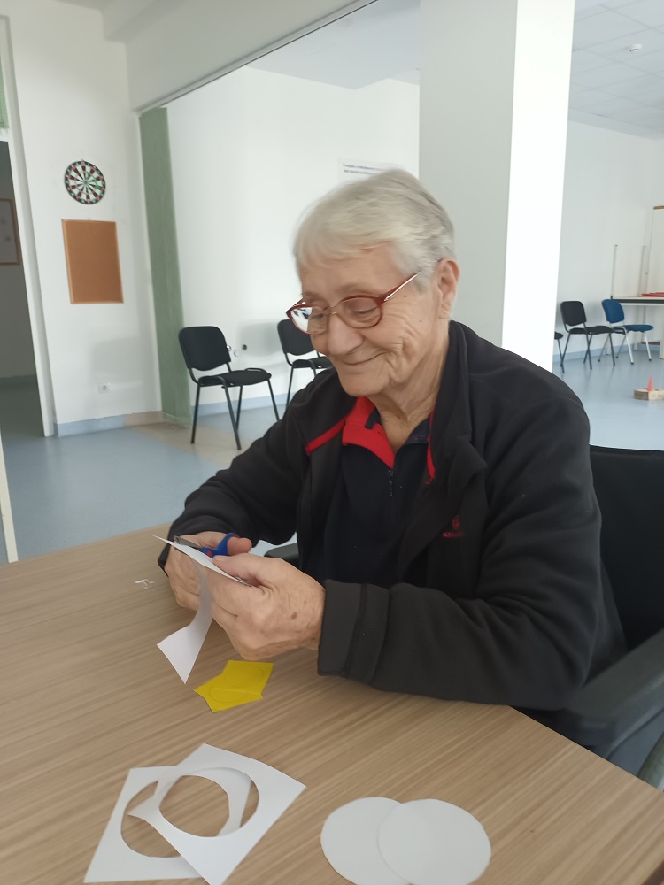 Senecura dom za starije