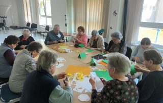 Senecura dom za starije