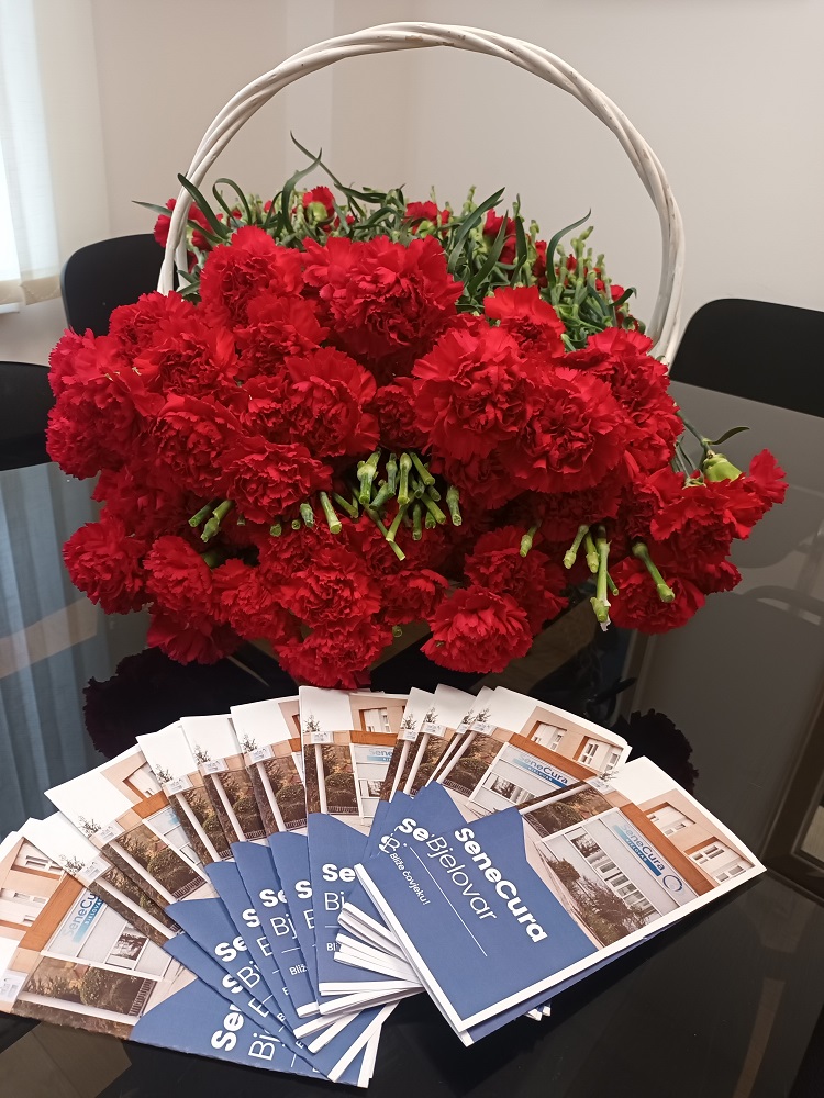 Senecura dom za starije