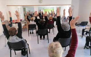 Senecura dom za starije