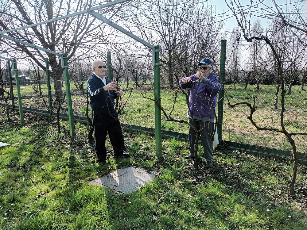 Senecura dom za starije