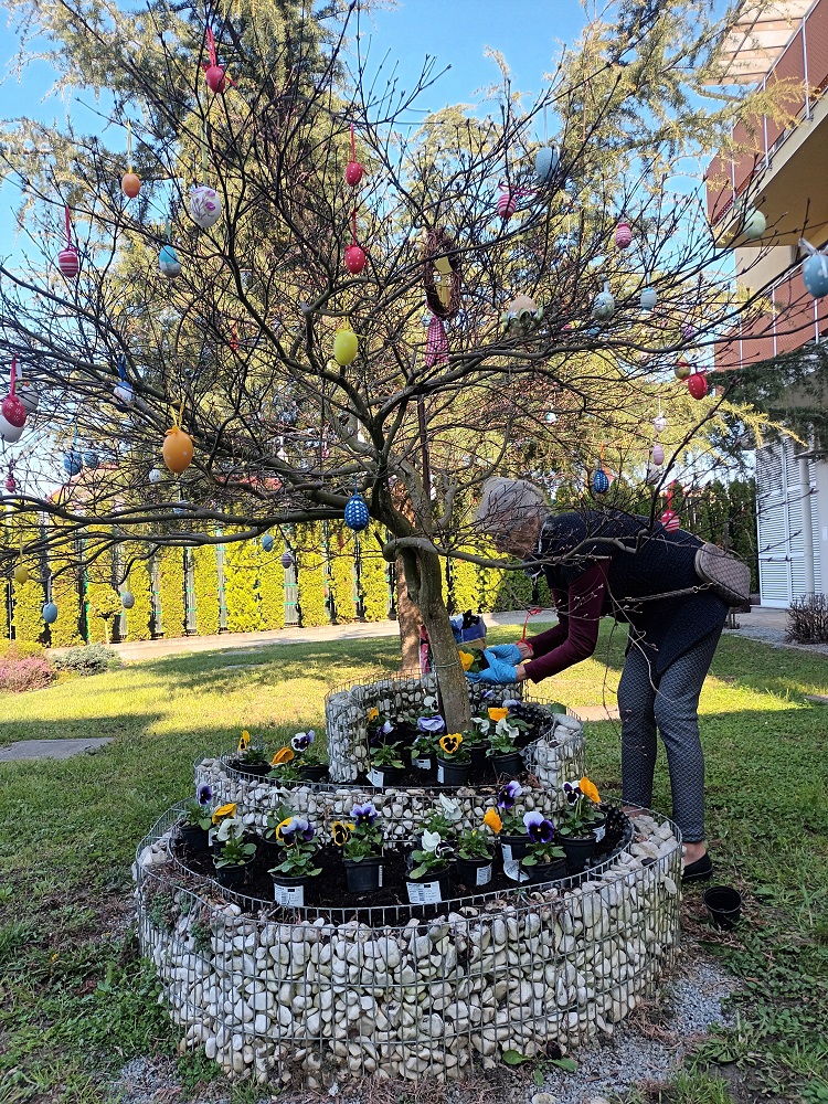 Senecura dom za starije
