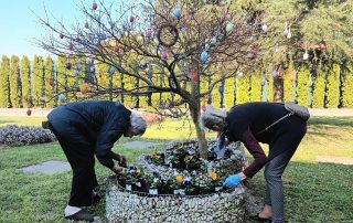 Senecura dom za starije