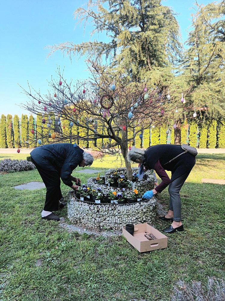 Senecura dom za starije