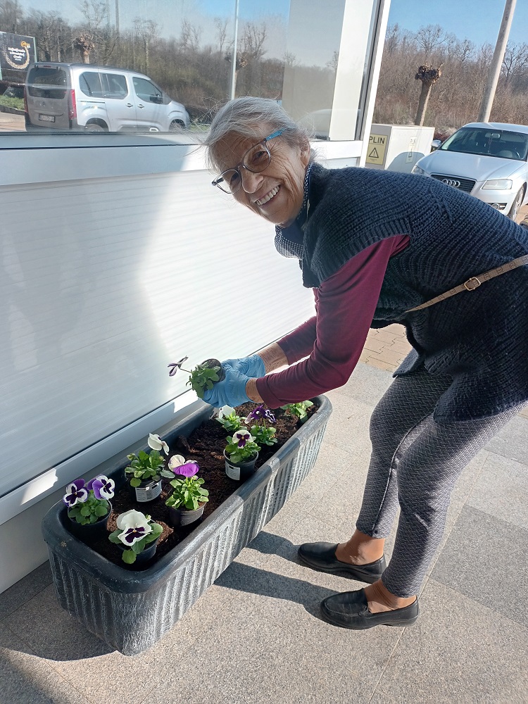 Senecura dom za starije