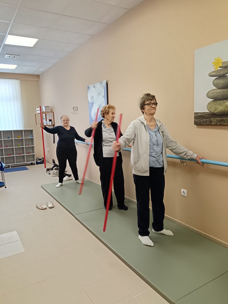 Senecura dom za starije