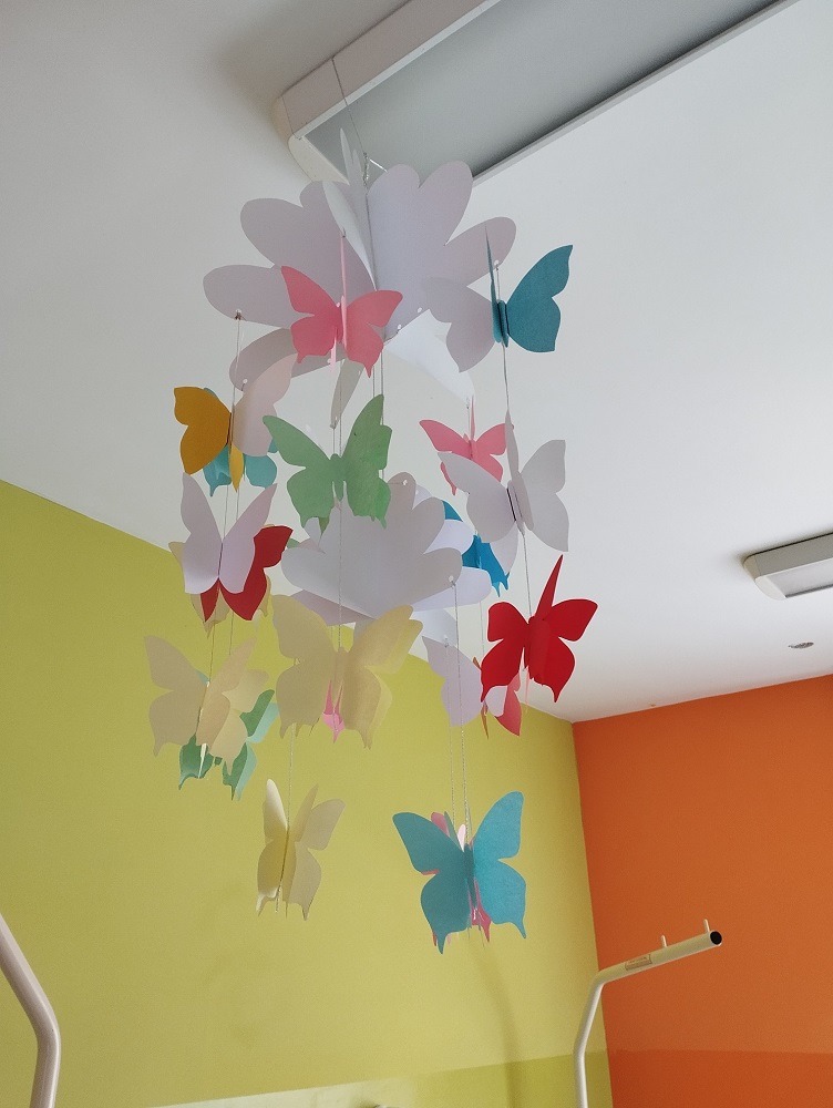 Senecura dom za starije