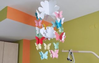 Senecura dom za starije